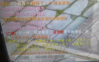 诛仙手游有天行者吗，诛仙行天任务