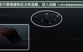 光遇潜海季任务五完成流程攻略，光遇怎么潜水单人