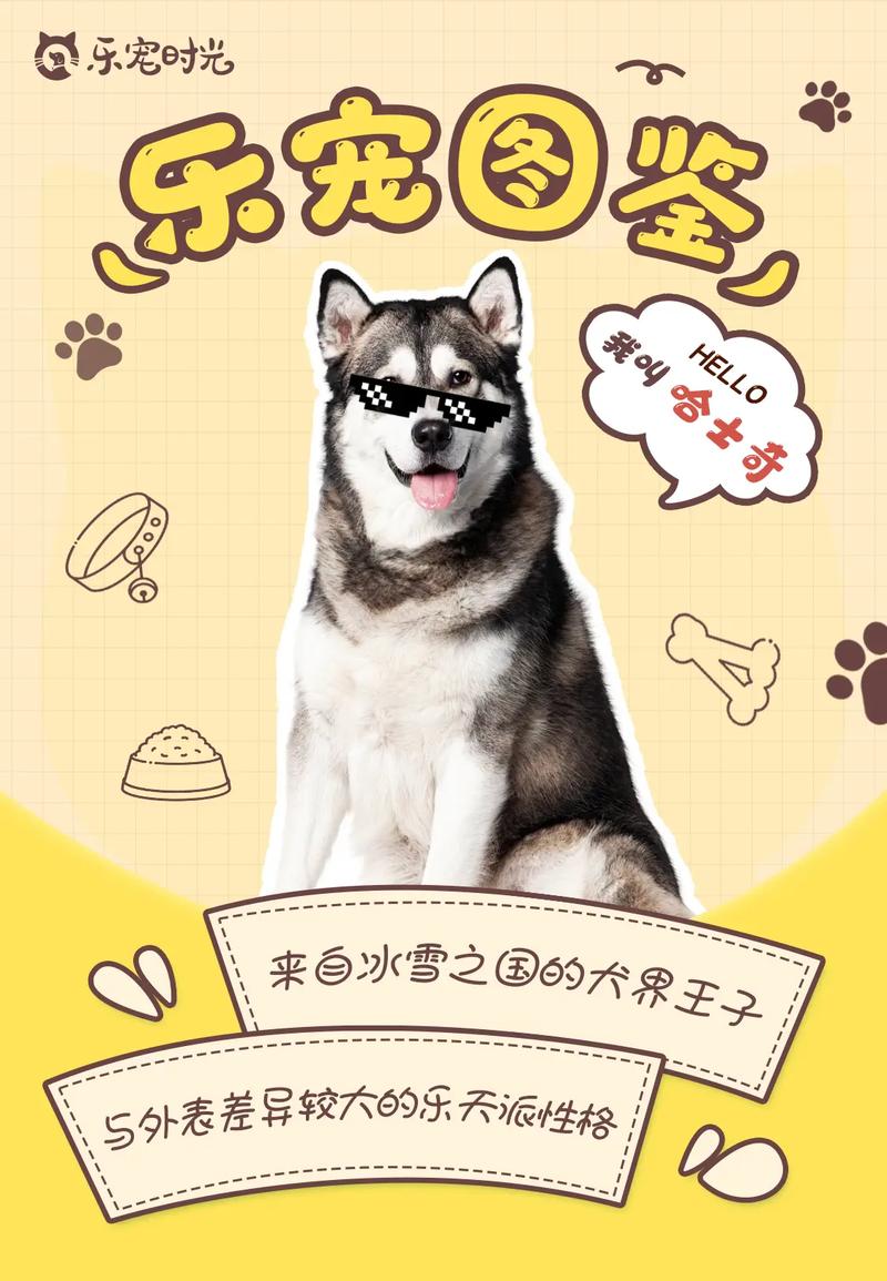 摩尔庄园手游哈士奇变身攻略解析,摩尔庄园哈士奇套装怎么变成哈士奇?-第2张图片-橙子游戏 摩尔庄园手游哈士奇变身攻略解析,摩尔庄园哈士奇套装怎么变成哈士奇?-第2张图片-橙子游戏